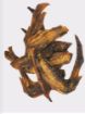 Picture of K9 Chew Co. Duck Wings 1kg