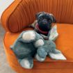 Picture of KONG Comfort Kiddos Jumbo Elephant XL x 1
