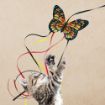 Picture of KONG Cat Toy Butterfly Teaser x 1