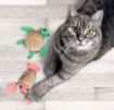 Picture of KONG Cat Toy Tropics Pals 2pk x 1