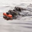 Picture of KONG Training Dummy - Large x 1