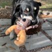 Picture of KONG Sherps Floofs Moose Medium x 1