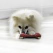 Picture of KONG Goodie Bone XL (Red) x 1
