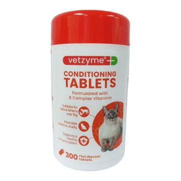 Picture of Kitzyme Cat Condition Tablets 300 Tab x 1