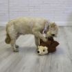 Picture of KONG Layerz Forage Hedgehog Medium x 1