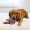 Picture of KONG Low Stuff Stripes Pig Medium x 1
