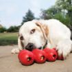 Picture of KONG Red Goodie Ribbon - Large x 1