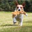 Picture of KONG Scrunch Knots Fox - Small/Medium x 1