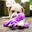 Picture of KONG SoftSeas Octopus Large x 1