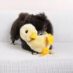 Picture of KONG Toughz Duck Medium x 1
