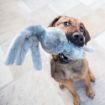 Picture of KONG Wubba Friends - Small 12" Mixed x 3