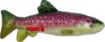 Picture of KONG Wild Shieldz Trout Medium x 1