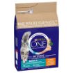 Picture of Purina One Cat Senior 7+ Chicken & Whole Grains 2.8kg x 1