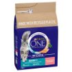 Picture of Purina One Cat Senior 7+ Salmon & Whole Grains 2.8kg x 1