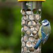 Picture of Peckish Extra Goodness Wild Bird Suet Nuggets 100pk 1.6kg x 1