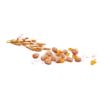 Picture of Pedigree Pouch Puppy Mixed Selection in Jelly 100g 12-pack x 4