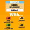 Picture of Pedigree Pouch Puppy Mixed Selection in Jelly 100g x 40