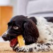 Picture of Yakers Dog Chew ORIGINAL XL x 10