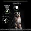 Picture of Pro Plan Puppy Medium 12kg