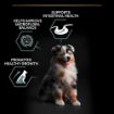 Picture of Pro Plan Puppy Medium/Large Sensitive Digestion 12kg