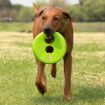Picture of Rogz RFO Flying Object - Blue 9" x 1