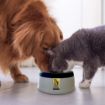 Picture of Road Refresher Large Non-Spill Dog Bowl x 1