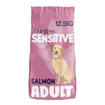 Picture of Burgess Sensitive Adult Dog - Salmon 12.5kg