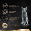 Picture of Sheba Foils - Fine Flakes Chicken in Jelly 85g x 22