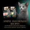 Picture of Sheba Pouch KITTEN Sauce Collection Mixed Selection Gravy 85g 12-Pack x 4