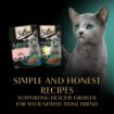 Picture of Sheba Pouch KITTEN Select Slices Mixed in Gravy MEGA PACK 85g 40pk 