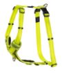 Picture of ROGZ Control Harness Dayglo XL 60-100cm x 1