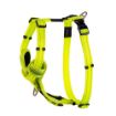 Picture of ROGZ Control Harness Dayglo Large 45-75cm x 1