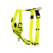 Picture of ROGZ Control Harness Dayglo Medium x 1