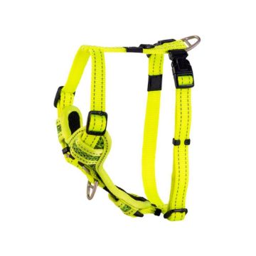 Picture of ROGZ Control Harness Dayglo Medium x 1