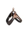 Picture of ROGZ URBAN Adj Fast-Fit Dog Harness Gold Rush Small/Medium