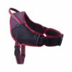 Picture of ROGZ AirTech Sport Harness Rock Red M/L