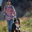 Picture of Rogz Explore Harness - XL Blue x 1