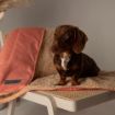 Picture of Scruffs Snuggle Blanket Terrocotta 110 x 72.5cm x 1