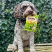 Picture of Soopa Healthy Bites - Kale & Apple 50g x 1