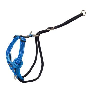 Picture of ROGZ Stop Pull Harness Large Blue 45-75cm x 1