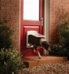 Picture of Staywell No.740 Medium Dog Door + Lock Panel - White x 1