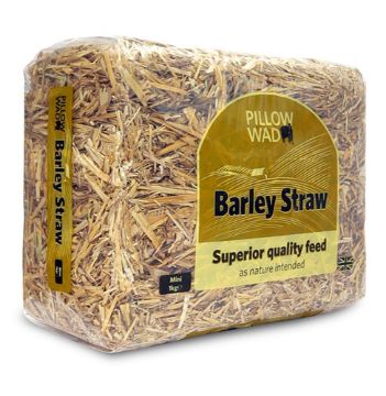 Picture of Pillow Wad Barley Straw - Mini 1kg x 6