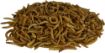 Picture of Supa Dried Mealworms 1 Litre Tub x 1