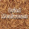 Picture of Supa Dried Mealworms 1 Litre Tub x 1
