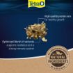 Picture of Tetra Goldfish Fish Food 100g x 1