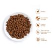 Picture of Thrive Cat Premium Plus Dry Chicken & Turkey 1.5kg x 1
