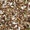 Picture of Bamfords Top Flight TK Conditioner / Trapping Mix 20kg