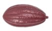 Picture of Dog Life Tuffs TPR Choccy Small x 1