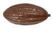 Picture of Dog Life Tuffs TPR Choccy Small x 1