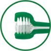 Picture of Vet's Best Tripe Headed Toothbrush for DOGS x 1